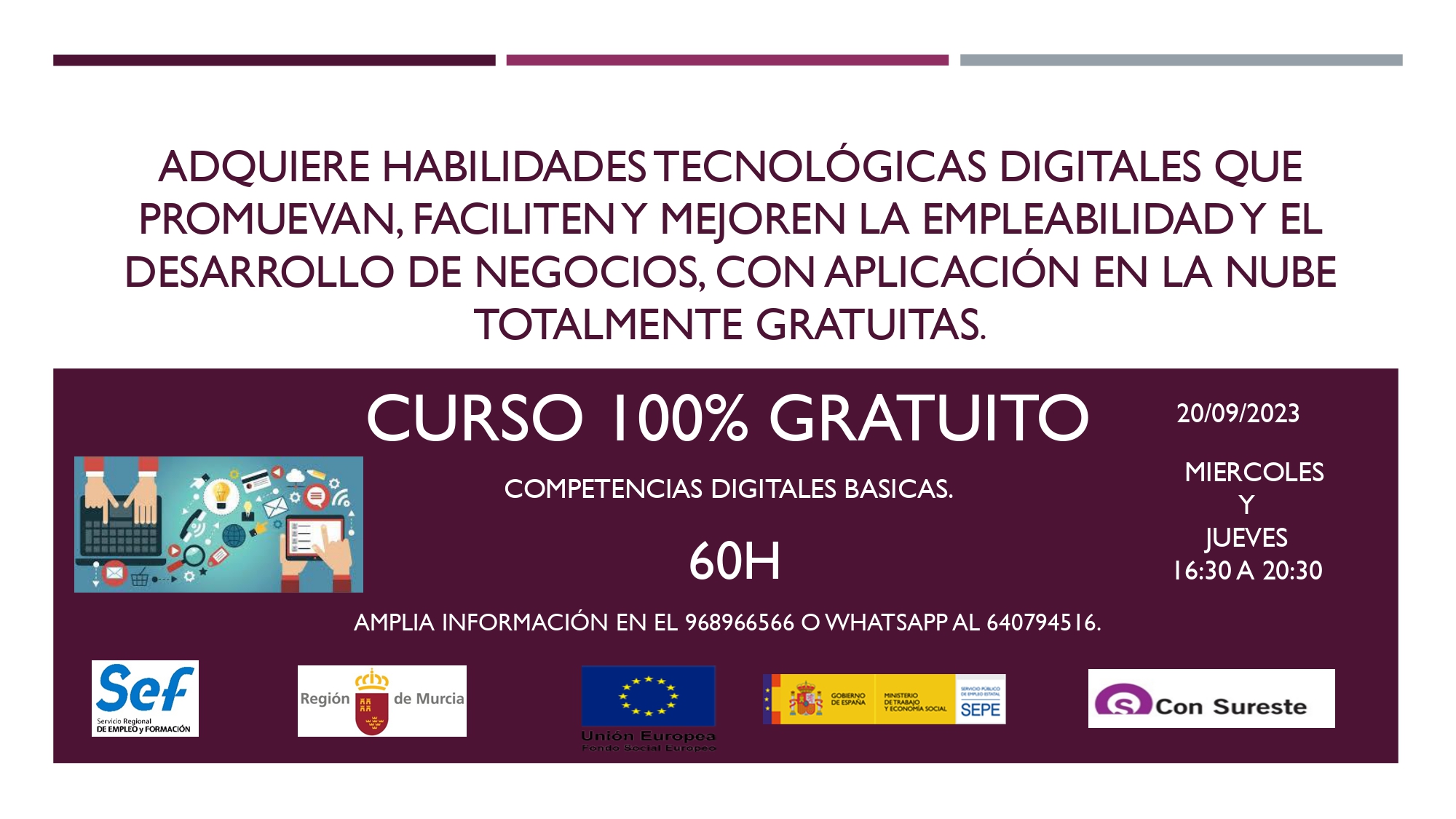 Competencias Digitales Basicas Pl Consureste